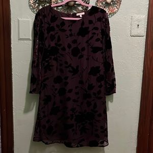 Halo Brand Dress Velvet Floral Print